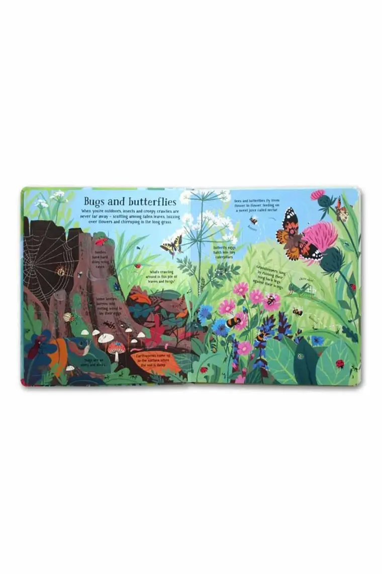 Usborne Lift-the-Flap: Nature