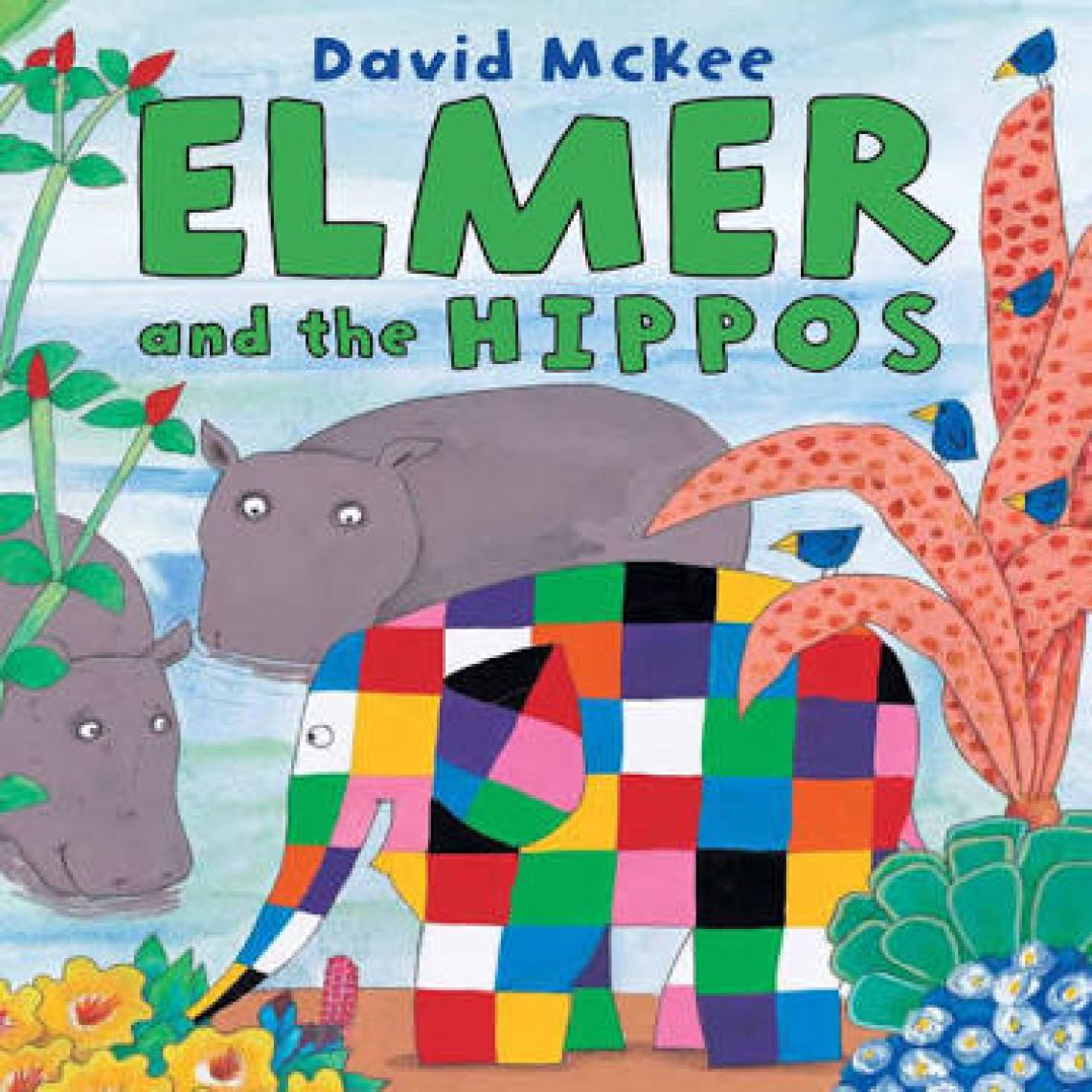 Elmer And The Rainbow  - David McKee