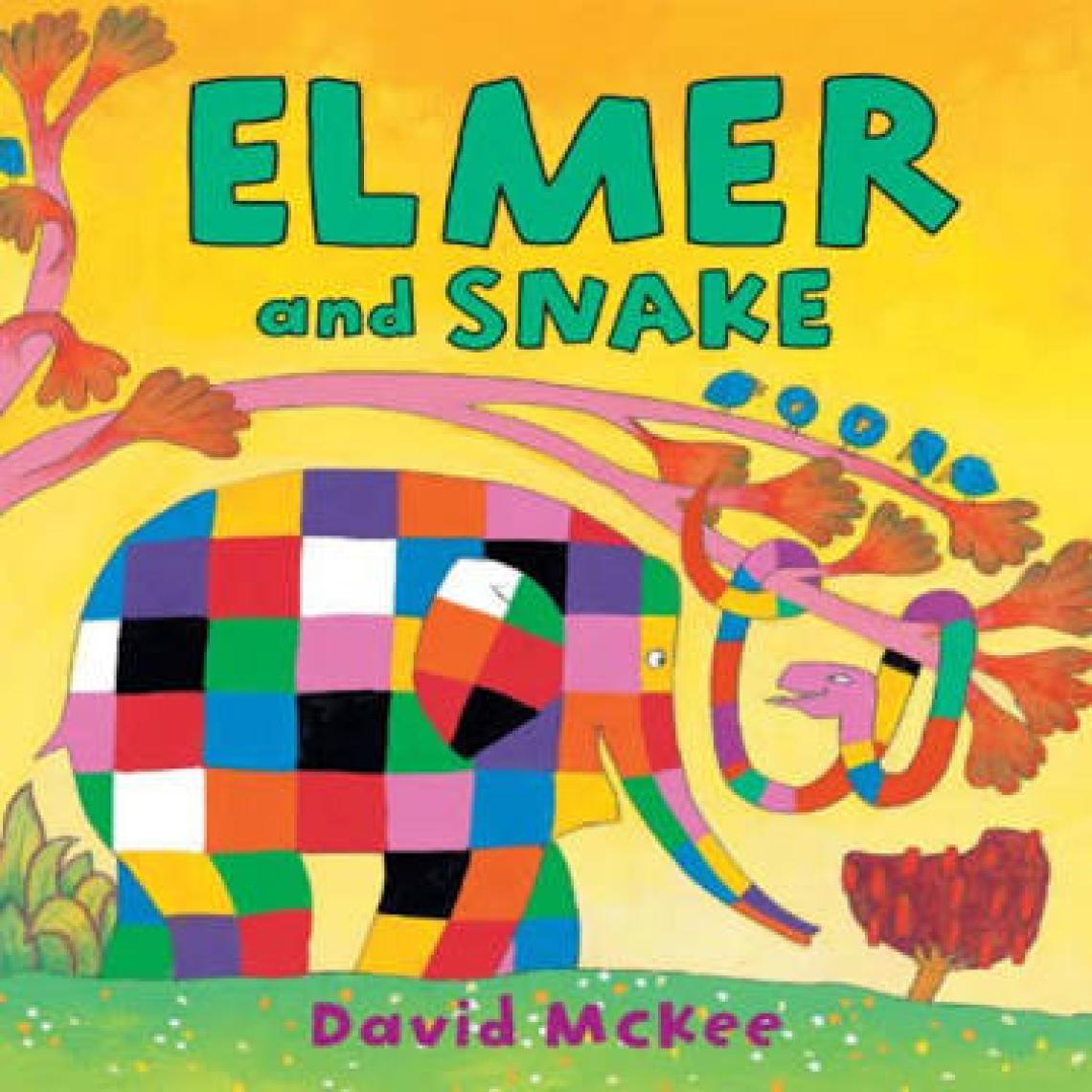Elmer And The Rainbow  - David McKee