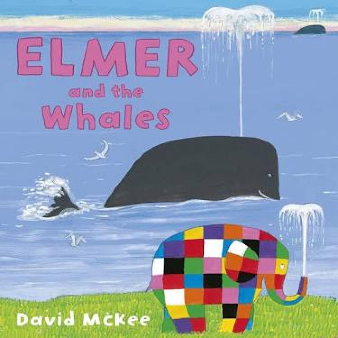 Elmer And The Rainbow  - David McKee