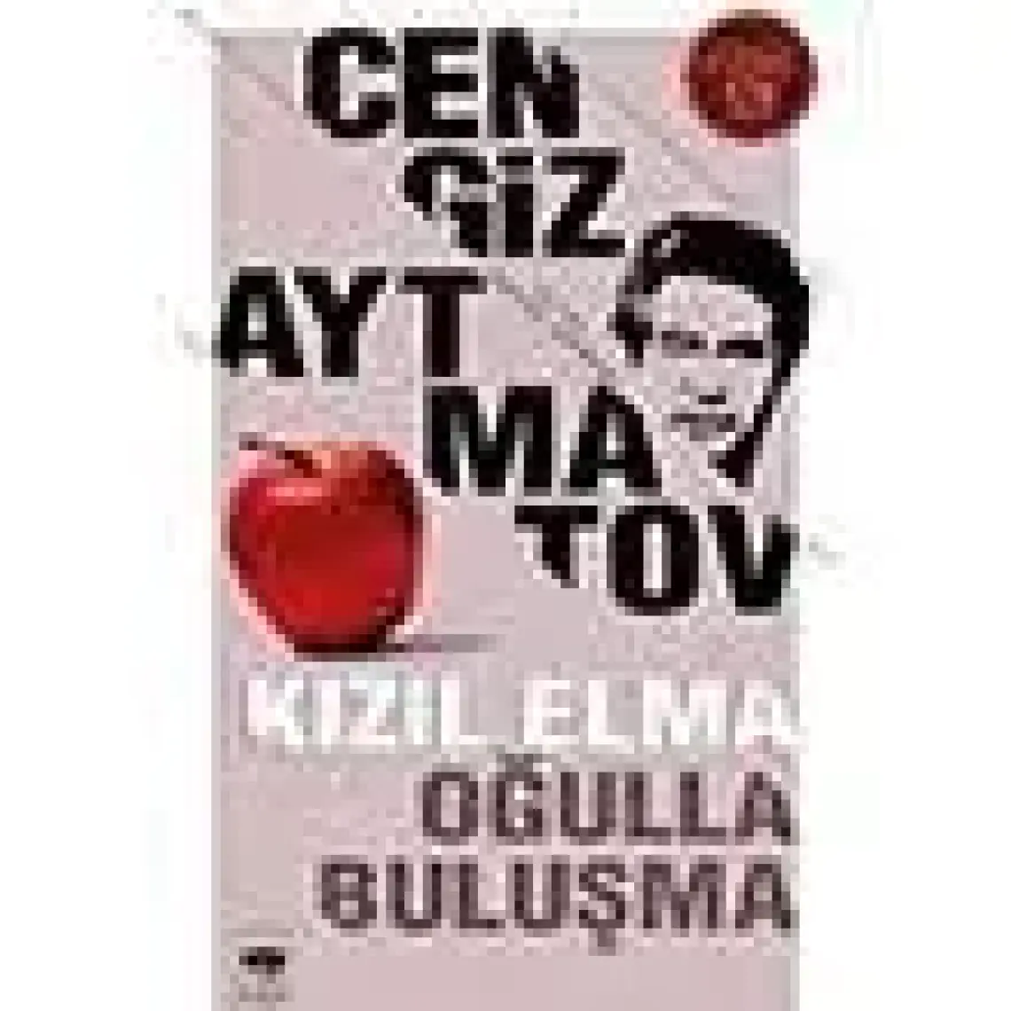 Milli Mücadele’de İttihat ve Terakki Erkanı ve Enver Paşa