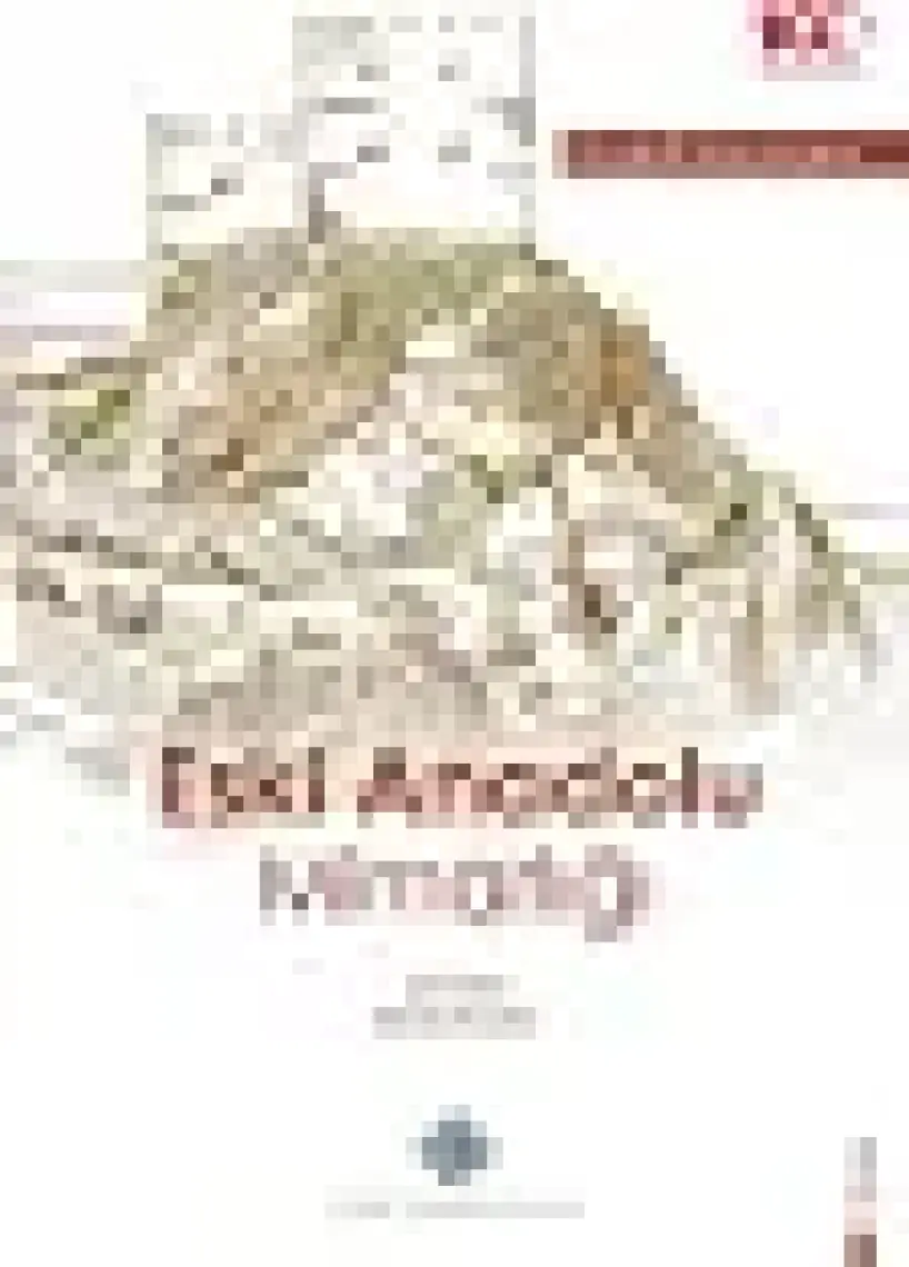 Eski Anadolu Mimarlığı -  Rudolf Naumann