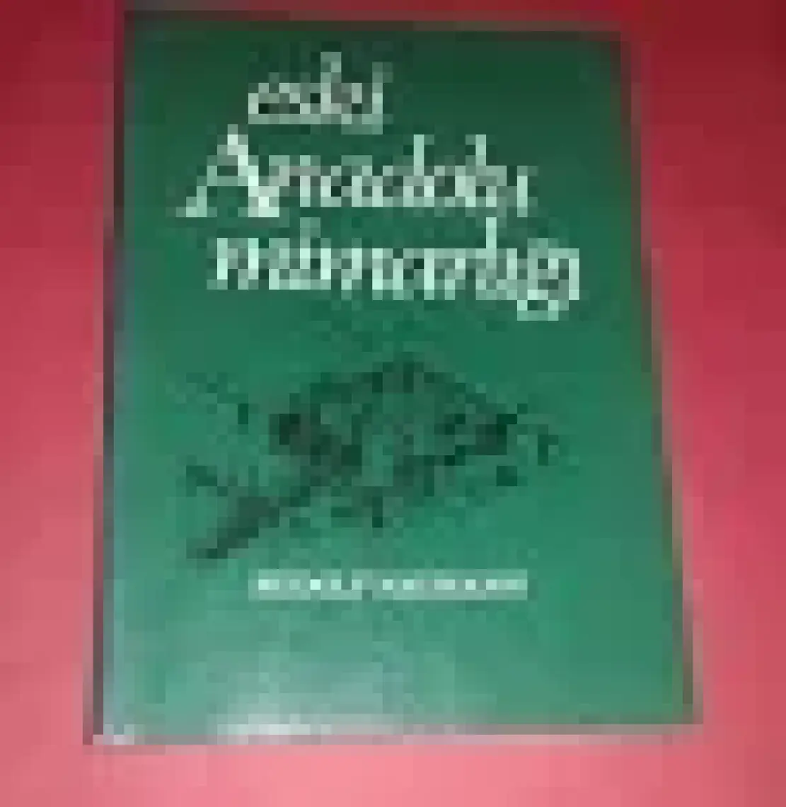 Eski Anadolu Mimarlığı -  Rudolf Naumann