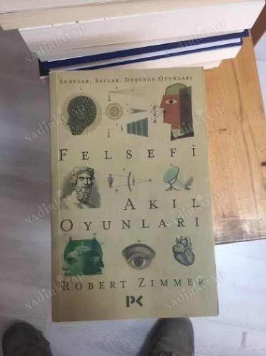 Felsefi Akıl Oyunları - Robert Zimmer