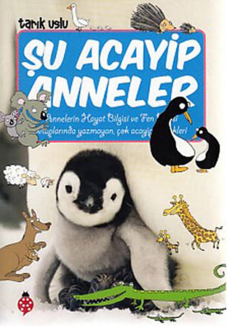 Şu Acayip Anneler