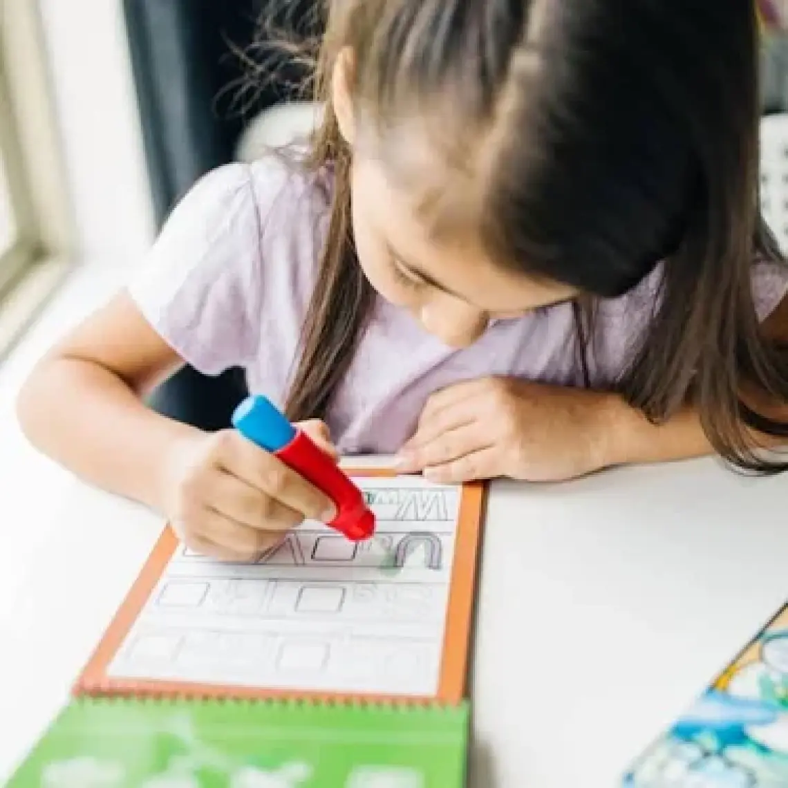 Melissa & Doug Water Wow Su İle Boyama Kitabı  Evcil Hayvanlar Bulmaca