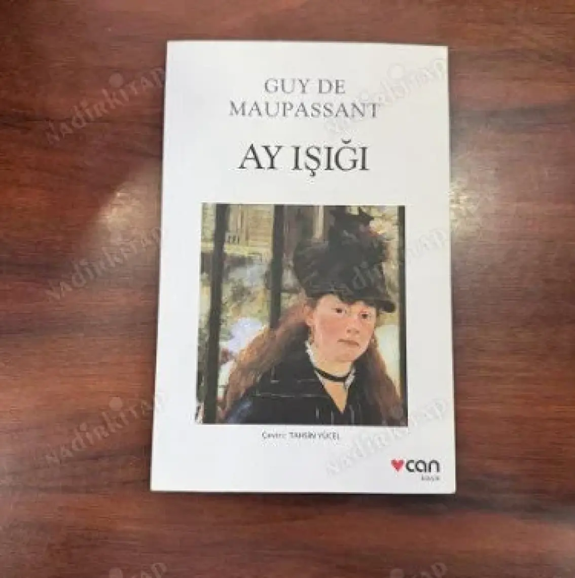 Ay Işığı - Guy de Maupassant