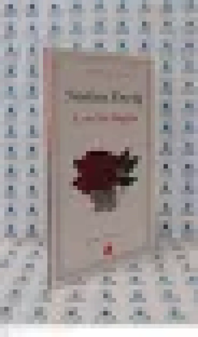 Lyon'da Düğün - Stefan Zweig