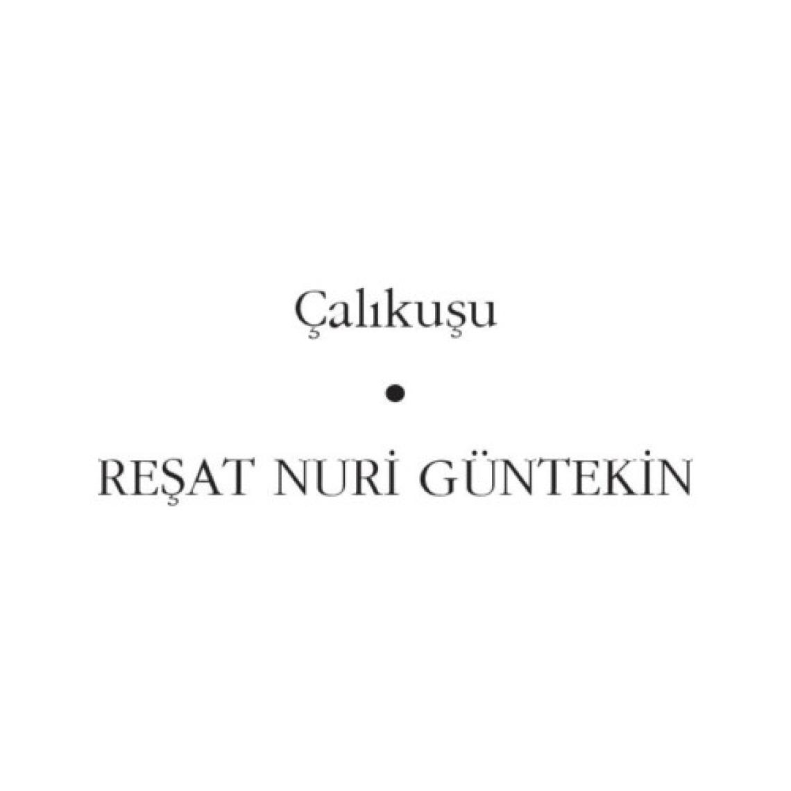Çalıkuşu - Reşat Nuri Güntekin