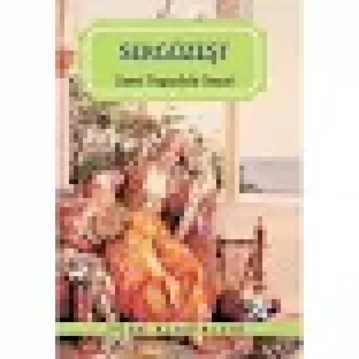 Sergüzeşt - Samipaşazade Sezai