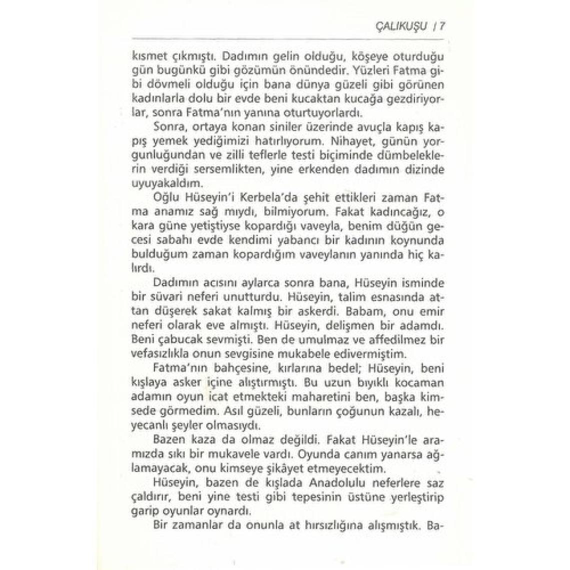 Çalıkuşu - Gençler İçin - Reşat Nuri Güntekin