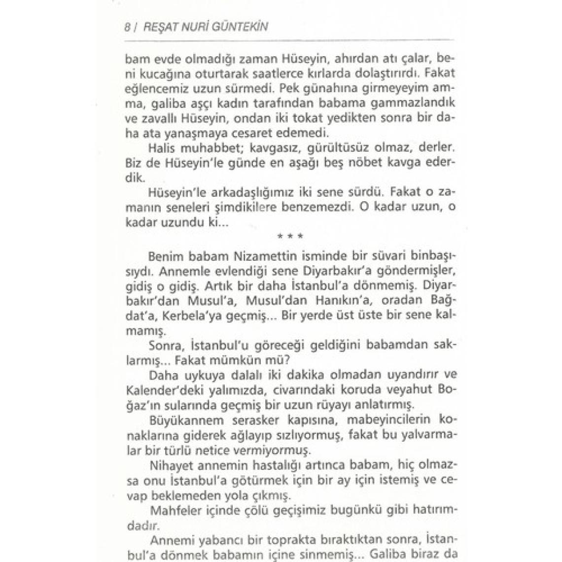 Çalıkuşu - Gençler İçin - Reşat Nuri Güntekin