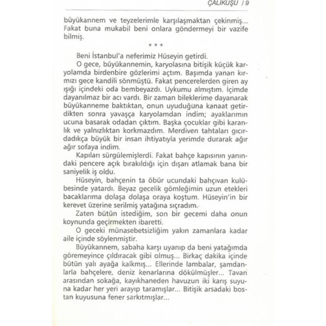 Çalıkuşu - Gençler İçin - Reşat Nuri Güntekin