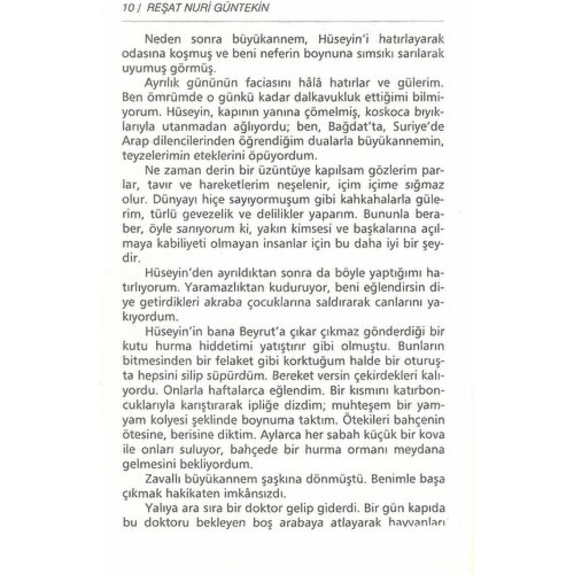 Çalıkuşu - Gençler İçin - Reşat Nuri Güntekin