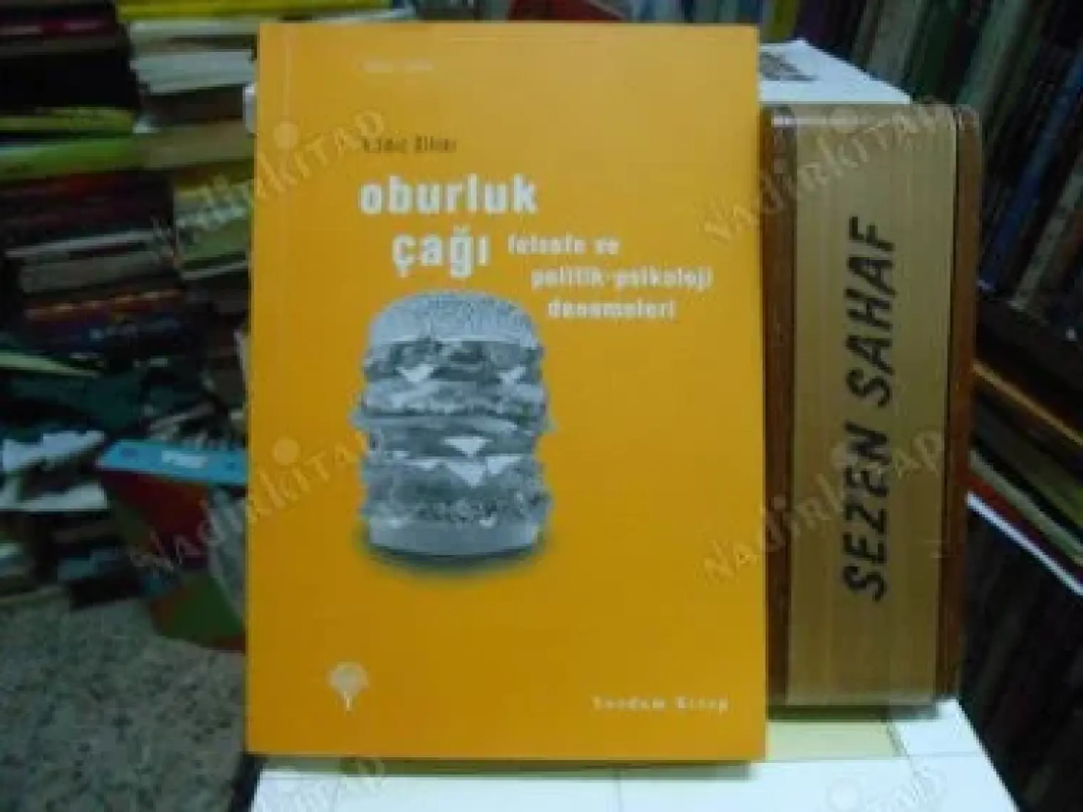 Oburluk Çağı - Felsefe ve Politik-Psikoloji Denemeleri