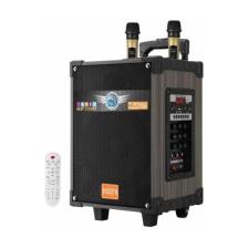 Emrtech LT-912  2 Mikrofonlu Kumandalı Kablosuz Hoparlör