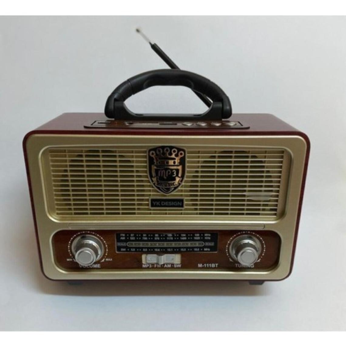 Paleon Nostalji Radyo Bluetoothlu Kumandalı USB