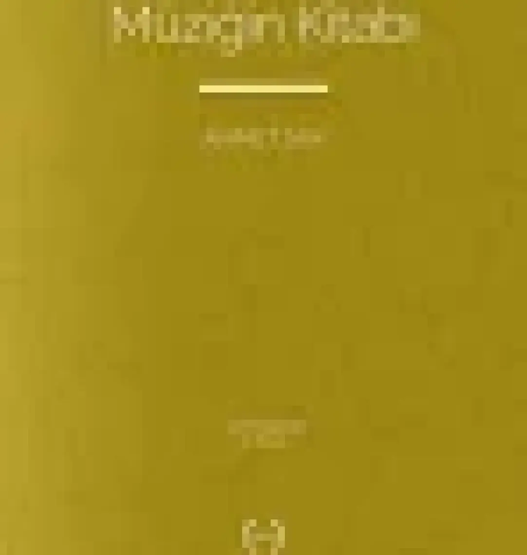 Müziğin Kitabı - Ahmet Say