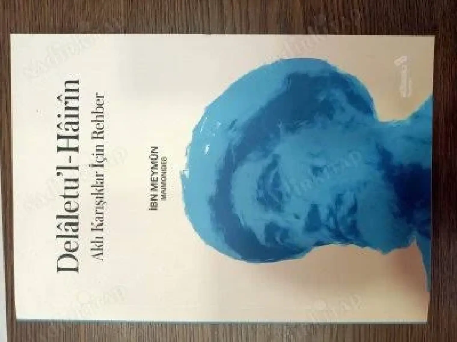 Delâletu’l-Hâirîn - Aklı Karışıklar İçin Rehber - İbn Meymûn