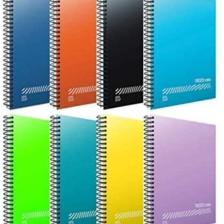 Fresco Spiralli Plastik Kapak A4 Defter 120 Yaprak Çizgili 1 Adet