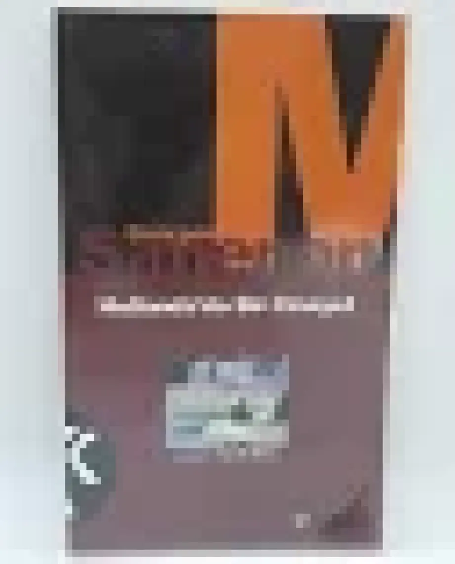 Hollanda’da Bir Cinayet - Georges Simenon