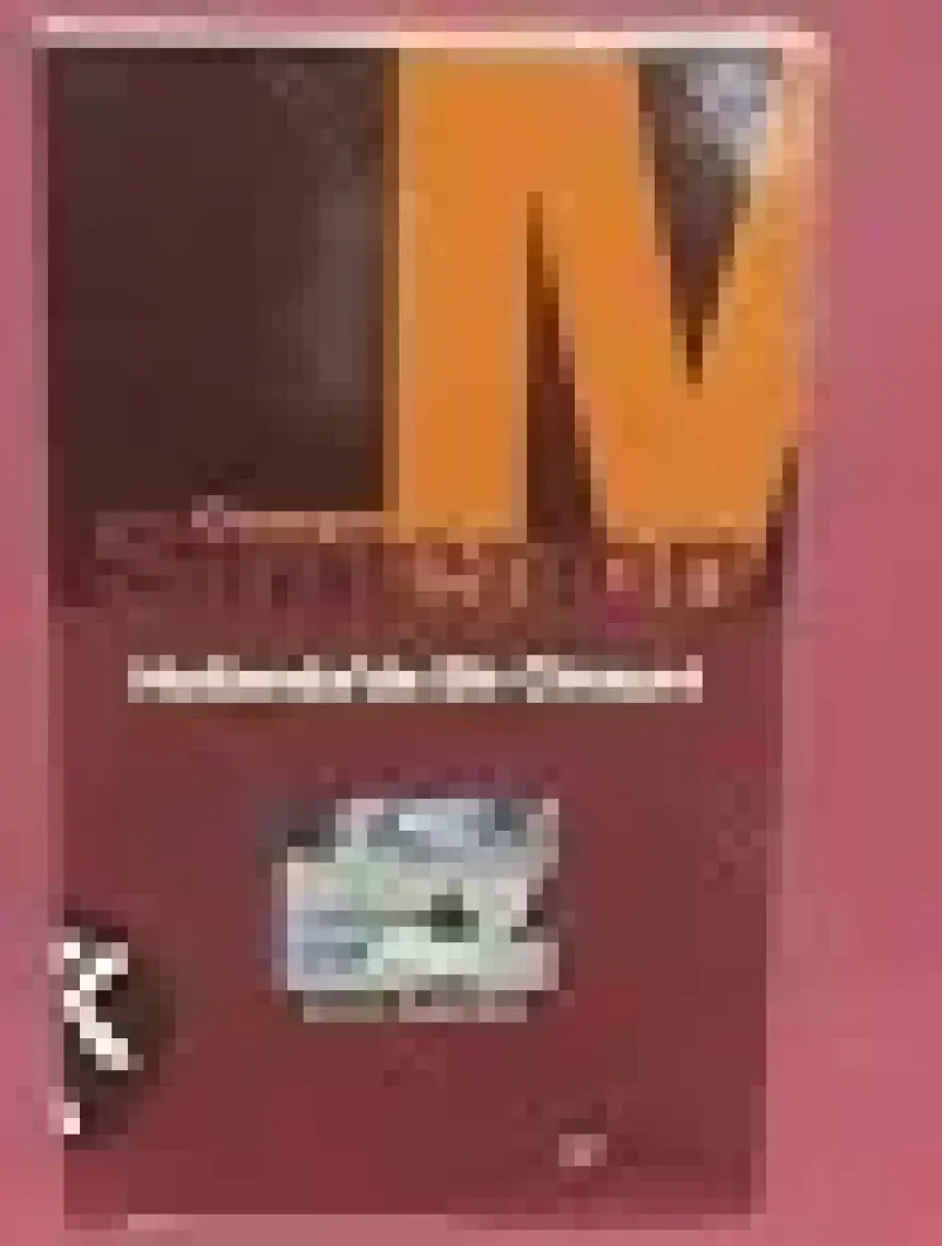 Hollanda’da Bir Cinayet - Georges Simenon