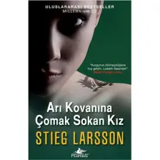 Arı Kovanına Çomak Sokan Kız - Stieg Larsson