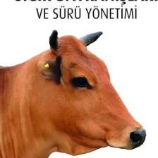 Sığır Davranışları ve Sürü Yönetimi