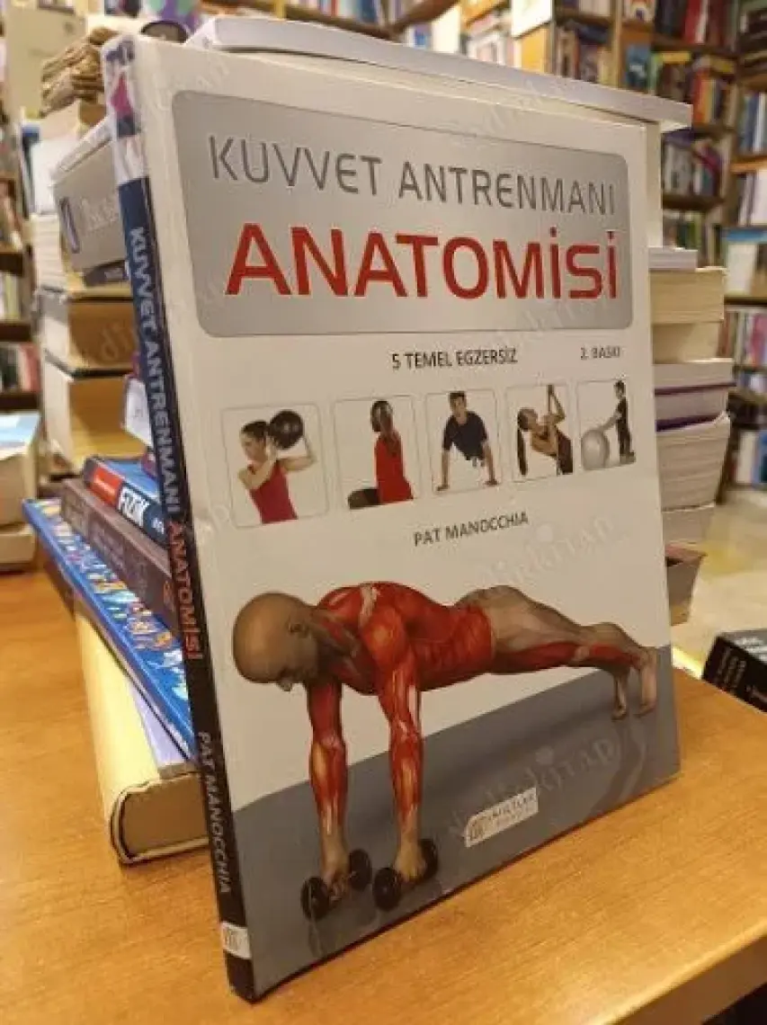 Kuvvet Antrenmanı Anatomisi - Pat Manocchia
