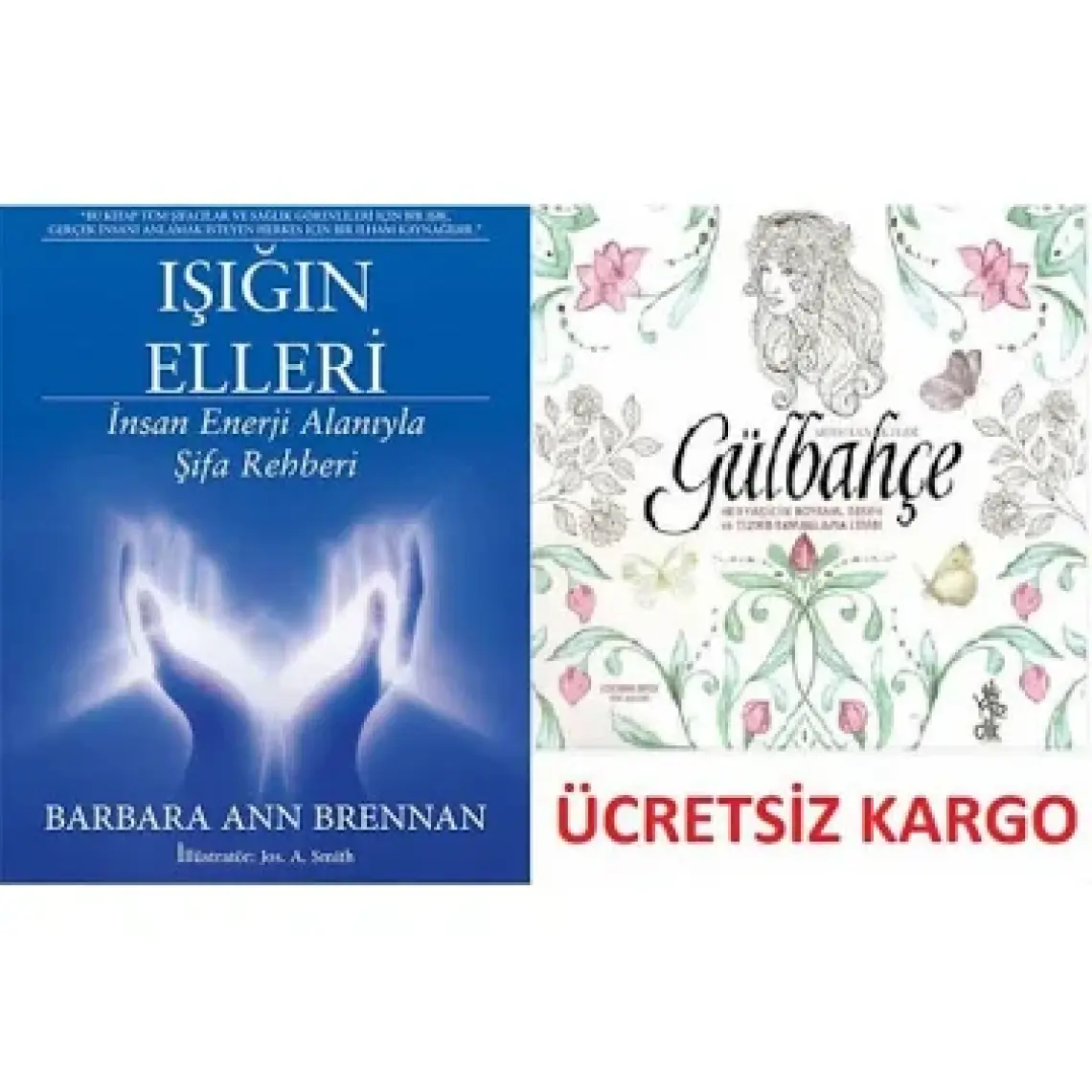 Işığın Elleri - Barbara Ann Brennan