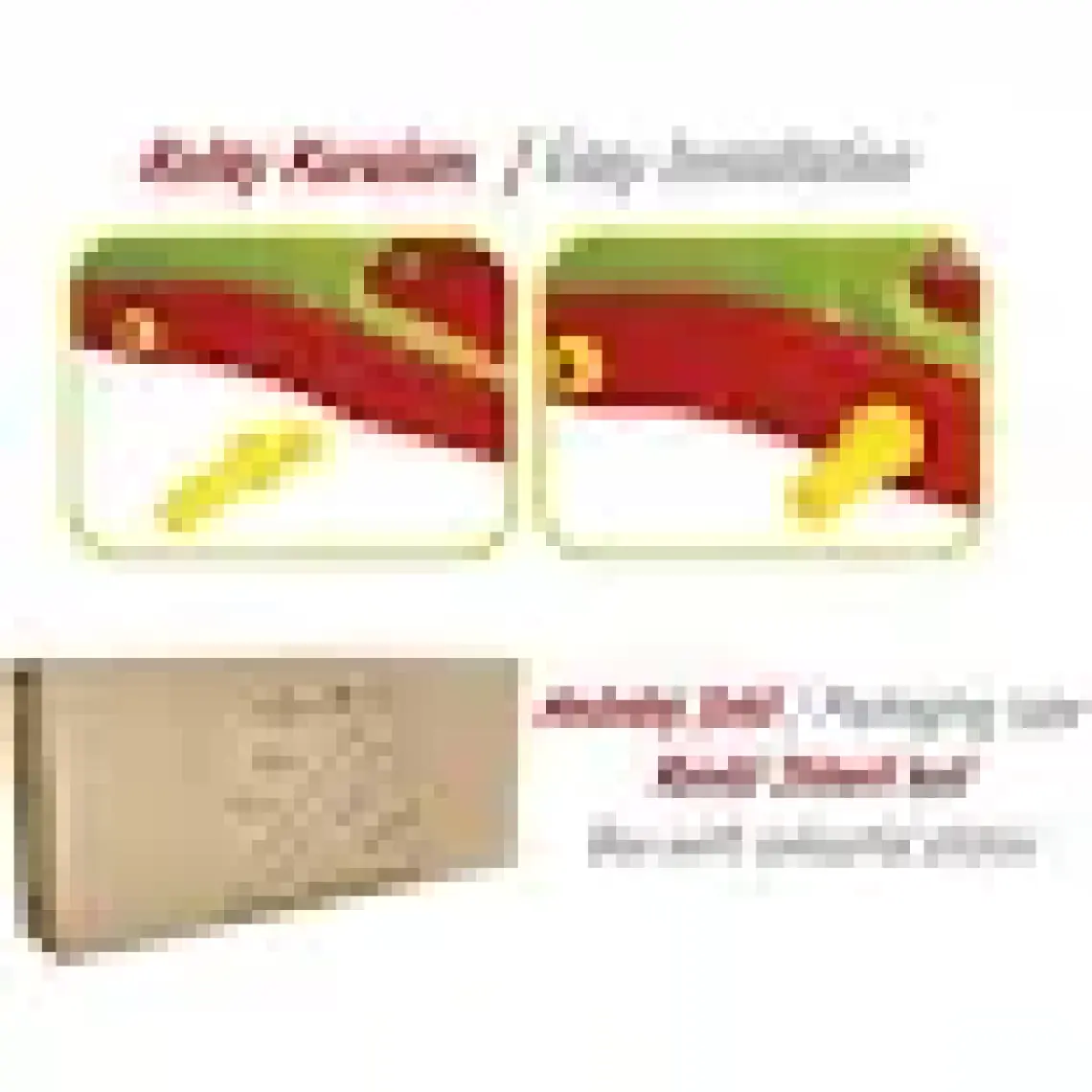 King kids Potalı Kaydırak Ks 9061