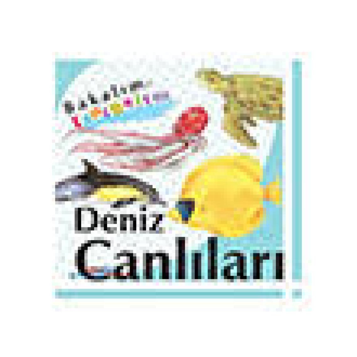 Final Yayınları 4. Sınıf Sosyal Bilgiler Etkinliklerle Konu Anlatımı - Yeni