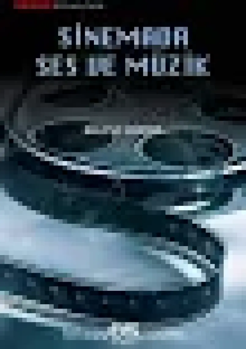 Sinemada Ses Ve Müzik