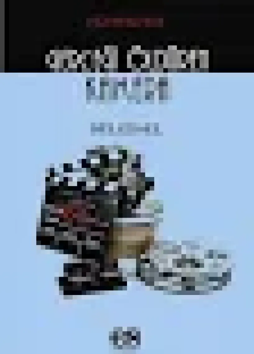 Sinemada Ses Ve Müzik