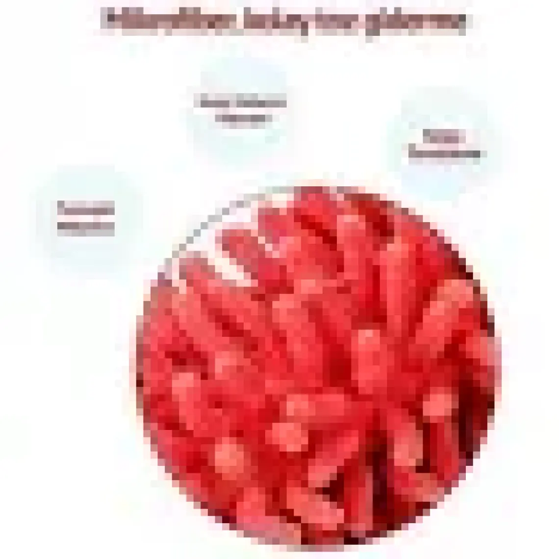 River World  Teleskopik Mikrofiber Pratik Uzayabilen Toz Alma Fırçası Aparatı
