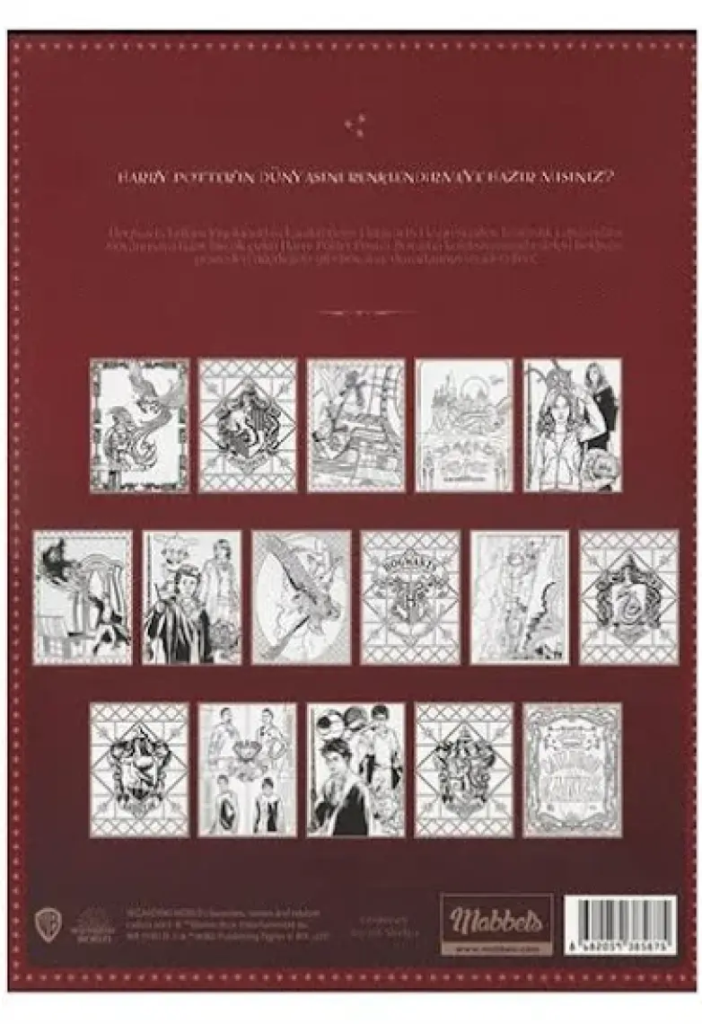 Harry Potter Poster Boyama Seti