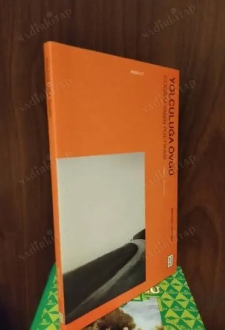 Yolculuğa Övgü - Michel Onfray