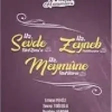 Peygamber Evinin Hanımları - Hz. Sevde Bint Zem'a - Hz. Zeynep Bint Hüzeyme - Hz. Meymune Bint Haris