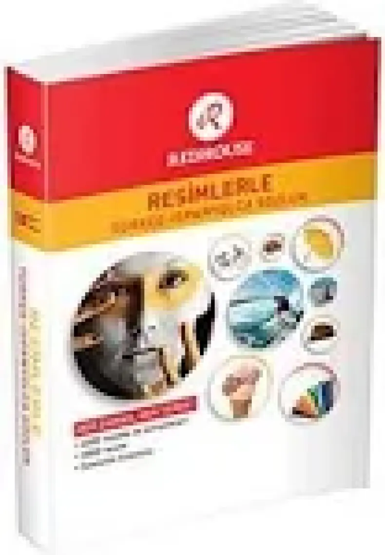 Redhouse Yayınları Resimlerle Türkçe İspanyolca Sözlük