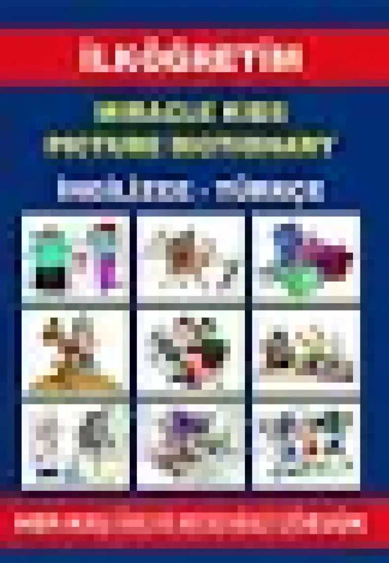 MK Publications Miracle Kids Picture Dictionary (İngilizce - Türkçe)