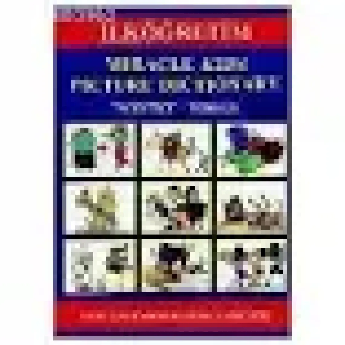 MK Publications Miracle Kids Picture Dictionary (İngilizce - Türkçe)