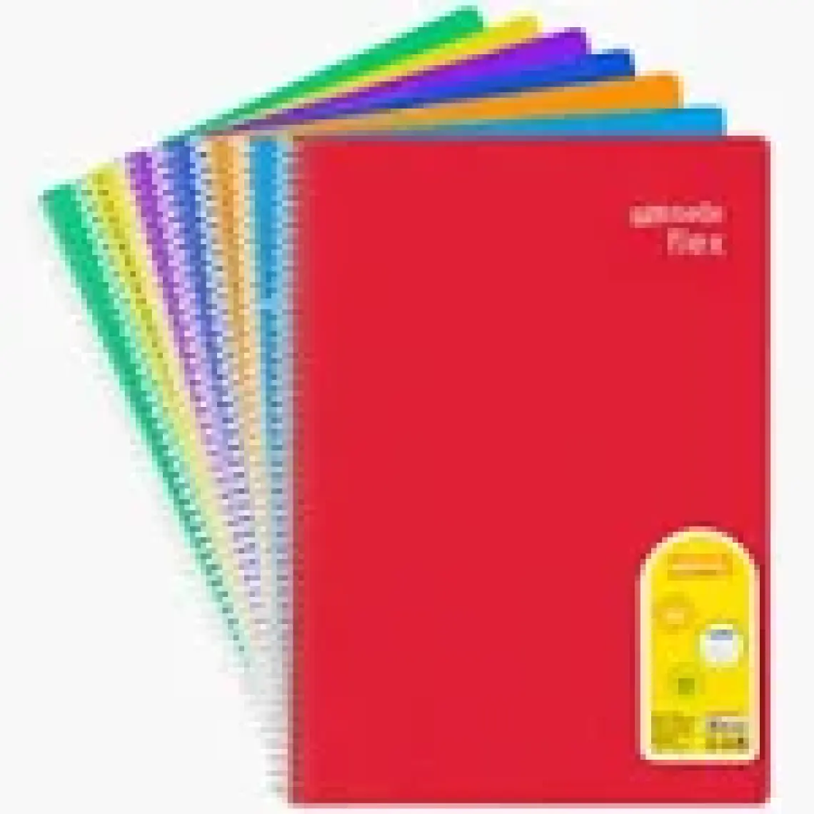 Defne A4 Plastik Kapak Telli Defter 60 Yaprak Dokulu Kapak Çizgili