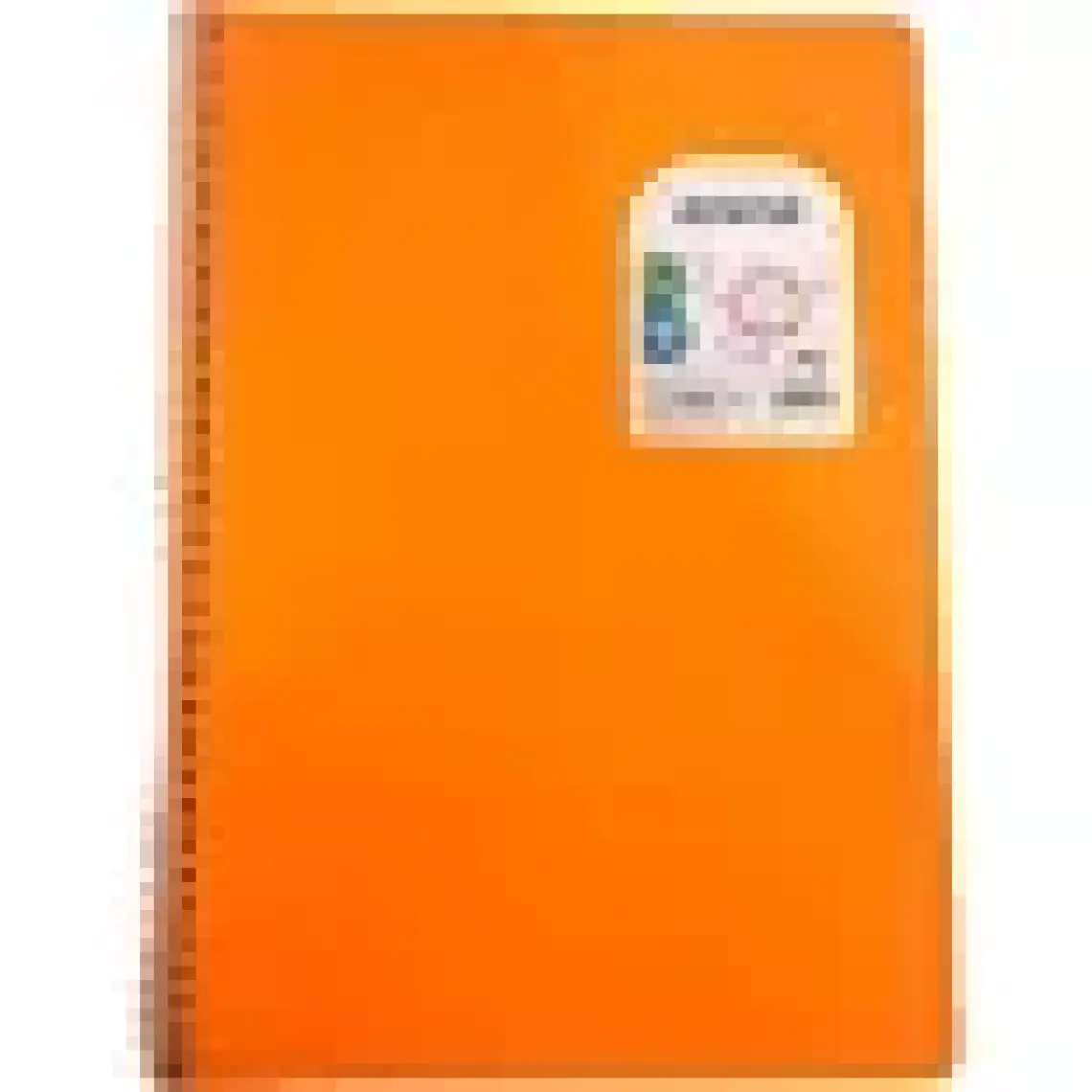 Defne A4 Plastik Kapak Telli Defter 60 Yaprak Dokulu Kapak Çizgili
