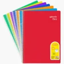 Defne A4 Plastik Kapak Telli Defter 60 Yaprak Dokulu Kapak Çizgili