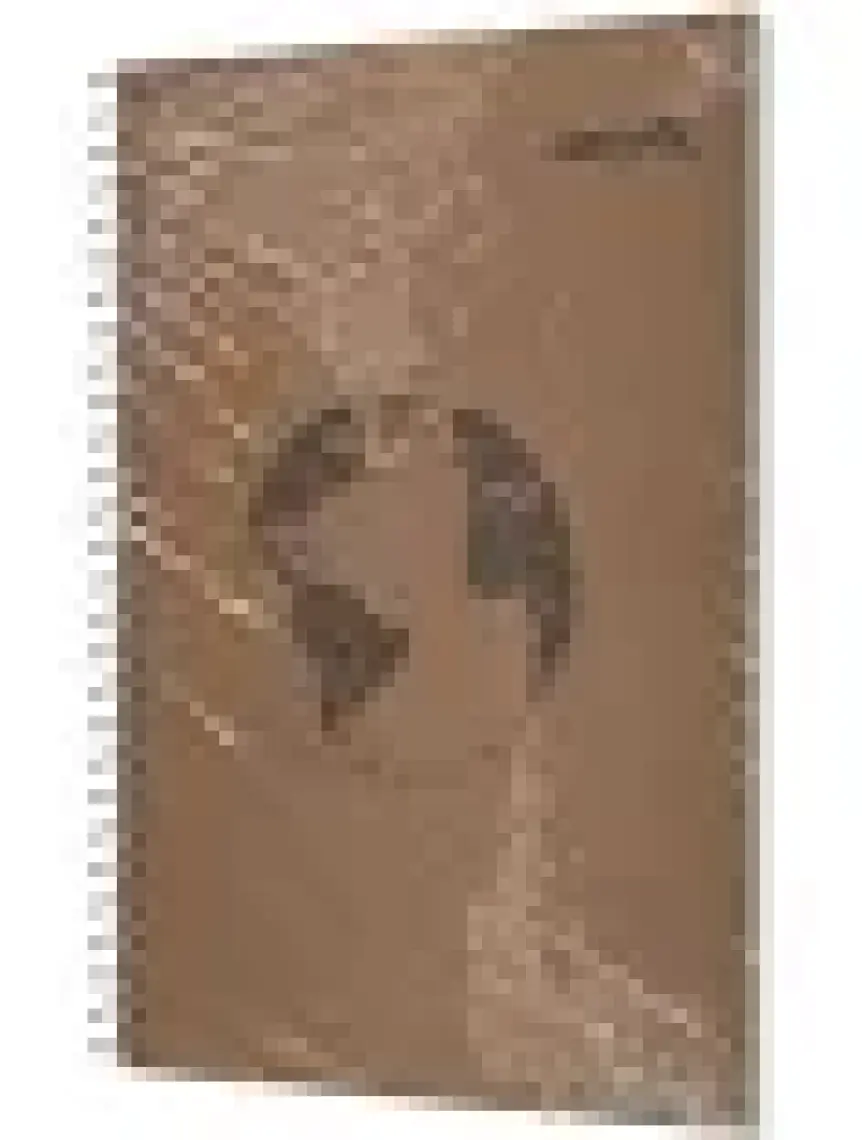 Mynote Kraft Defter A4 120 Yp Kareli UC37006-K