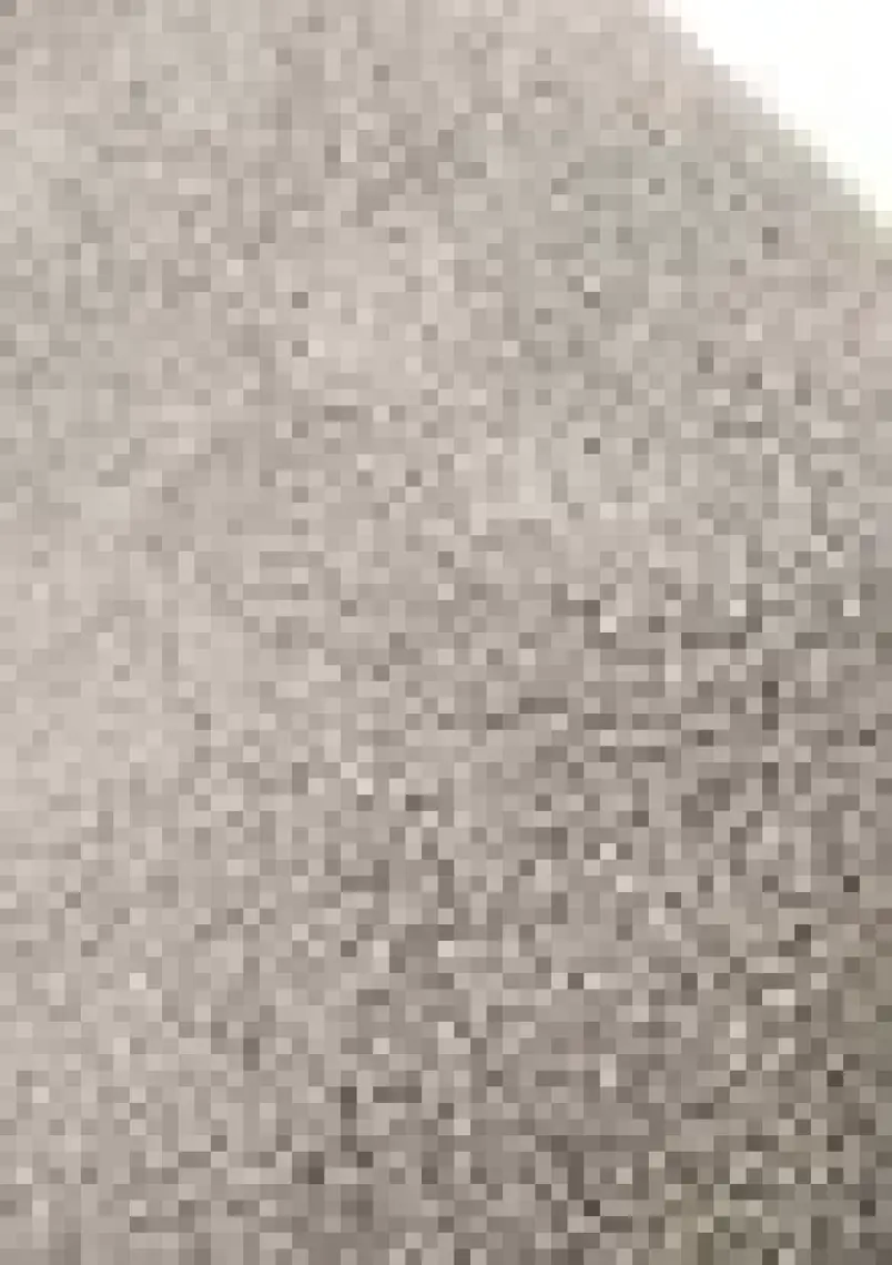 Wellmop Seyahat Boyun Yastığı