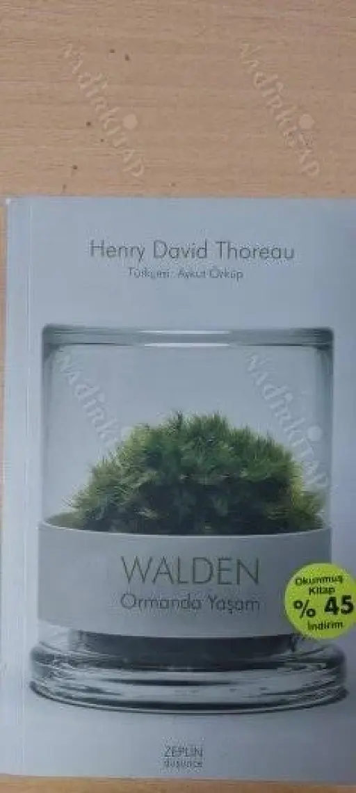 Walden Ormanda Yaşam - Henry David Thoreau