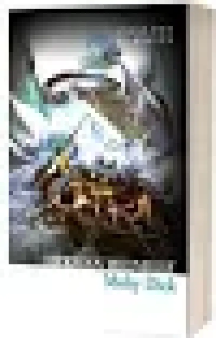 Moby Dick (Collins Classics)