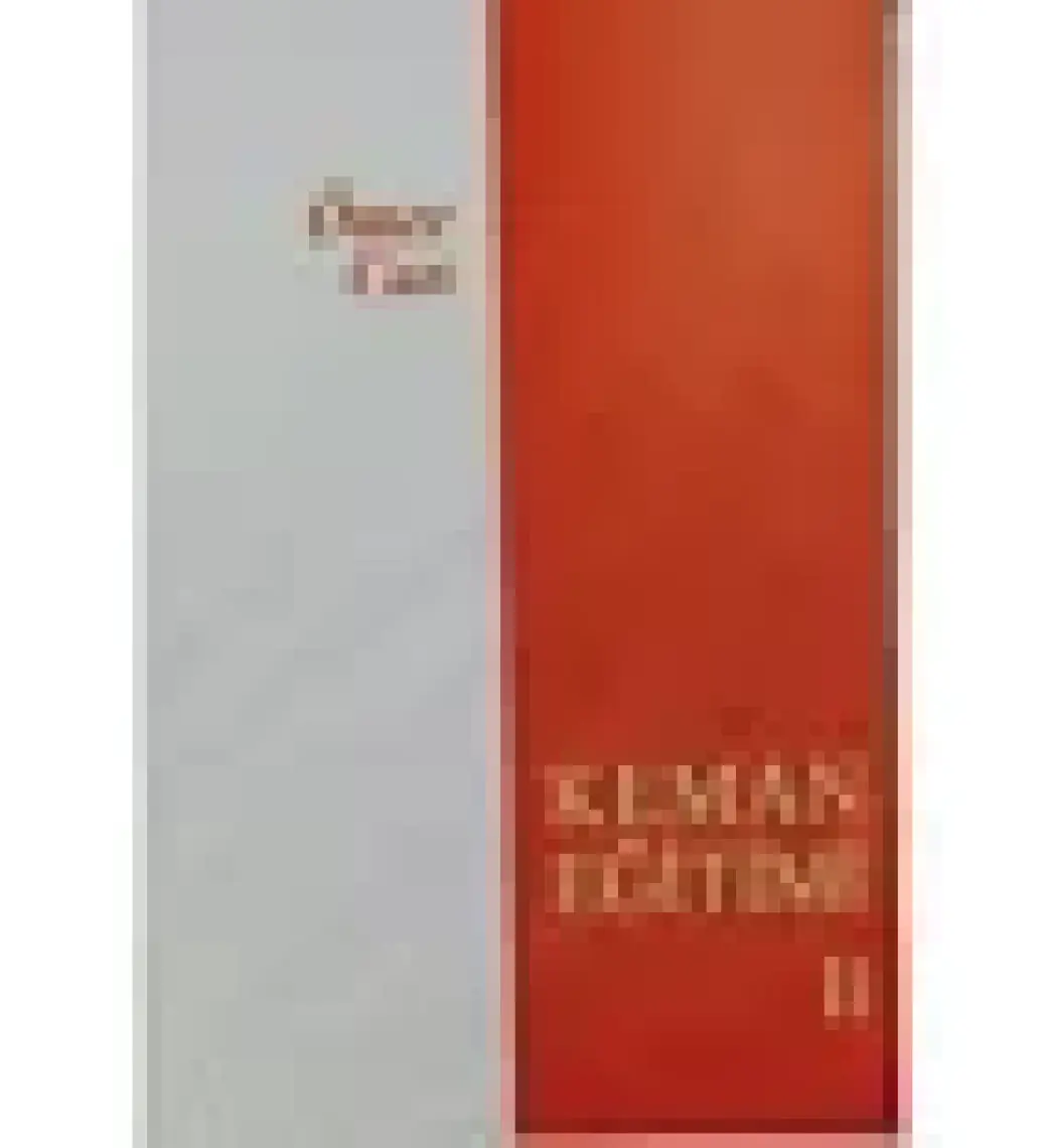 Keman Eğitimi 2 - Ömer Can