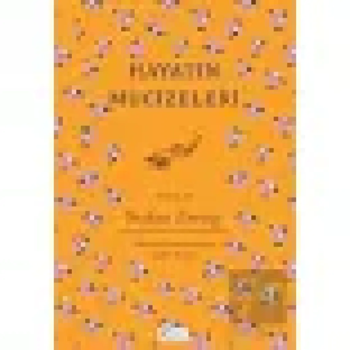 Hayatın Mucizeleri (Bez Ciltli) - Stefan Zweig